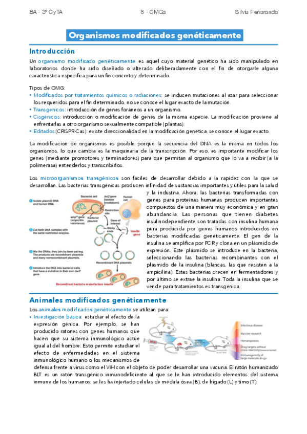 Miniatura del documento 8-OMGs.pdf