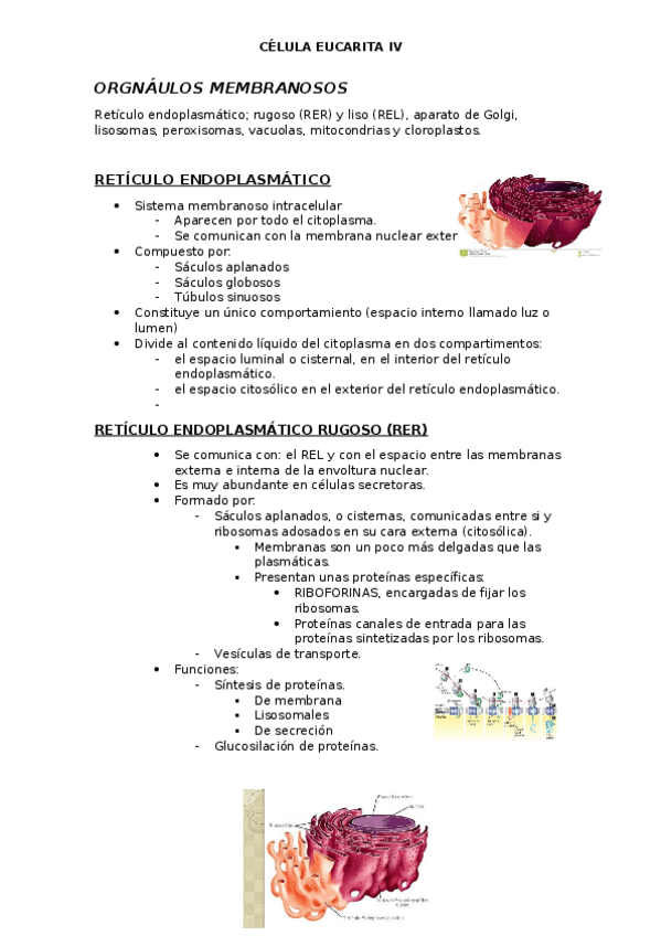 Miniatura del documento CELULA-EUCARIOTA-IV-organulos-membranosos.docx