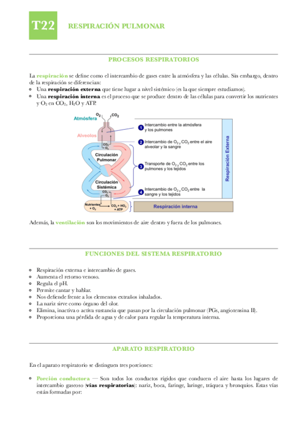 Miniatura del documento FISIO-T22-Respiracion-pulmonar.pdf