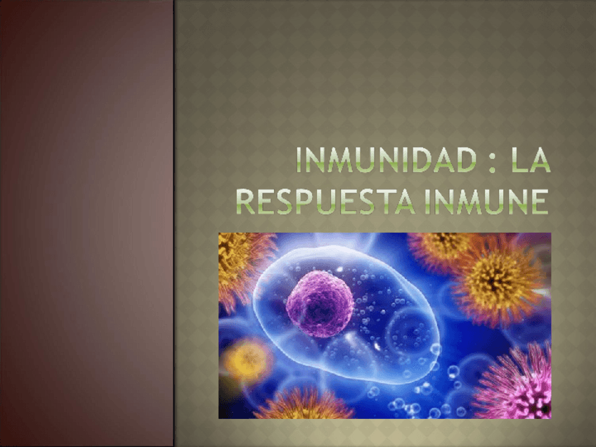 Miniatura del documento Inmunidad-la-respuesta-inmune.ppt
