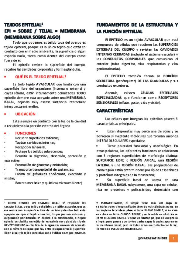 Miniatura del documento TEJIDO-EPITELIAL-REVEST.pdf