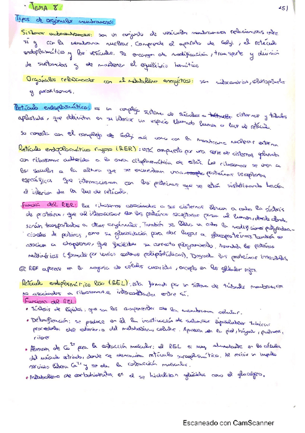 Miniatura del documento Tema-8-La-celula-eucariota-Organulos-membranosos.pdf