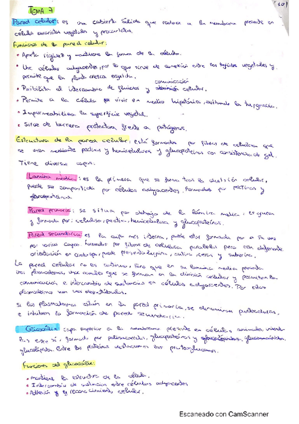 Miniatura del documento Tema-7-La-celula-eucariota-Estructuras-y-Organulos-no-membranosos.pdf