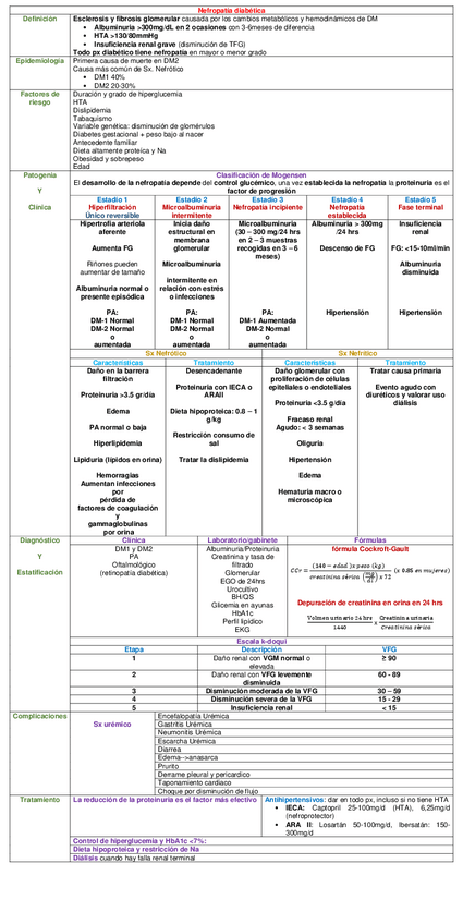 Miniatura del documento CUADRO-NEFROPATIA-DIABETICA.pdf