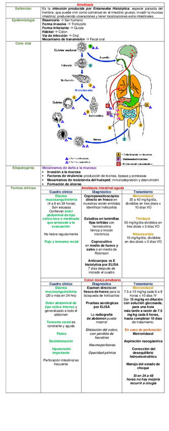 Miniatura del documento CUADRO-AMEBIASIS.pdf
