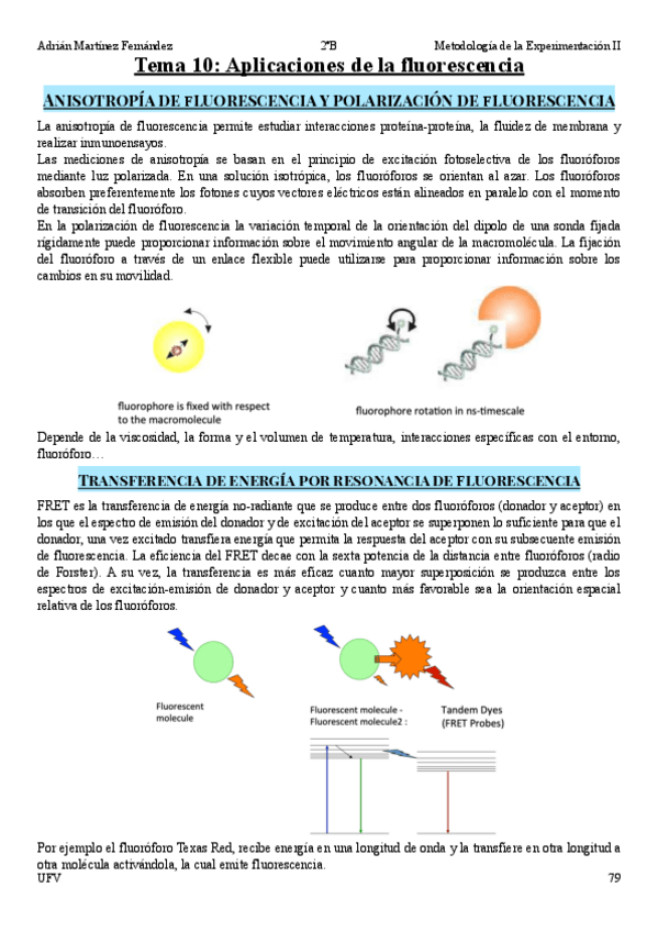 Miniatura del documento Tema-10.pdf