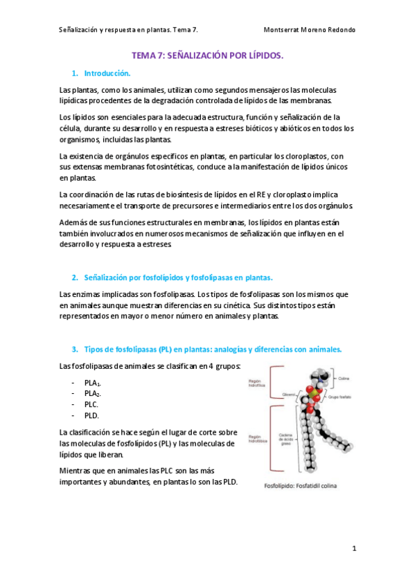 Miniatura del documento TEMA-7-SENALIZACION.pdf