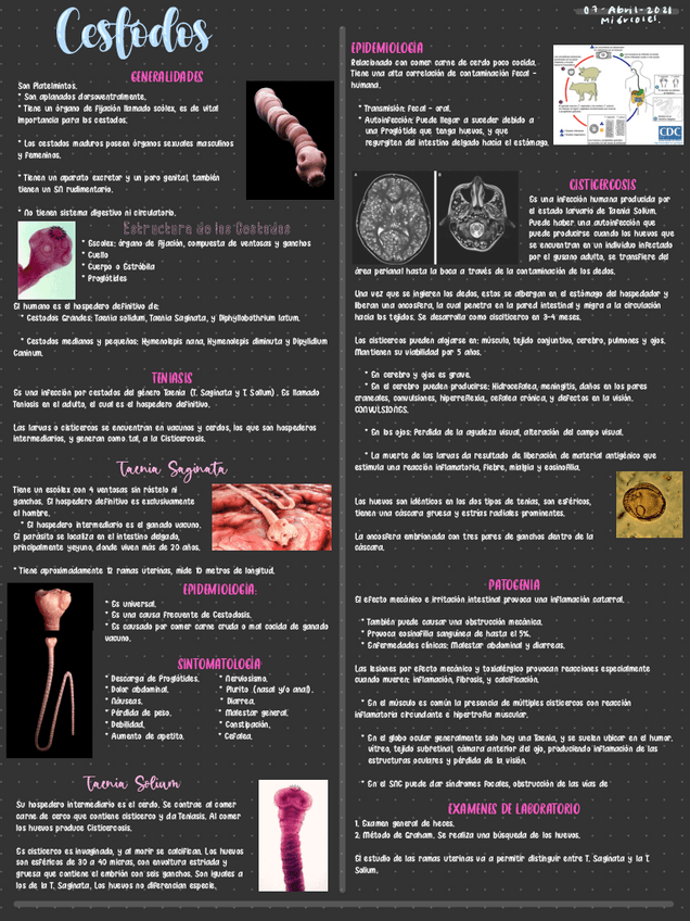 Miniatura del documento Cestodos.pdf