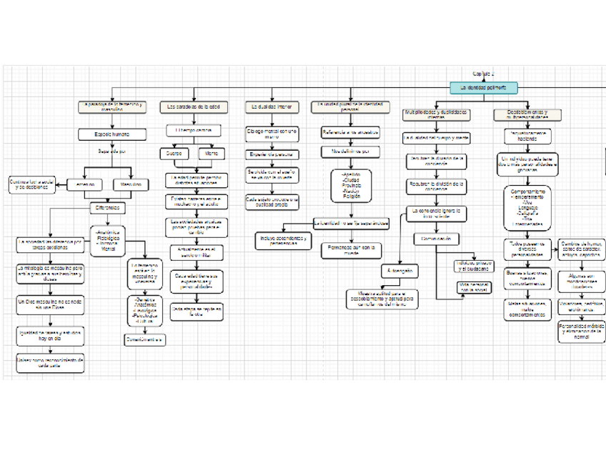 Miniatura del documento MapaLa-identidad-polimorfa.docx