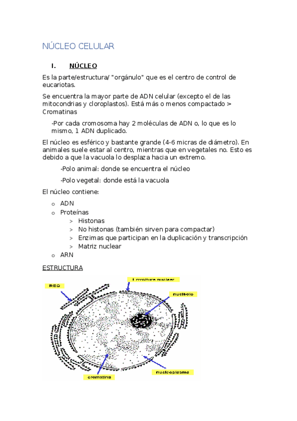 Miniatura del documento 11.docx