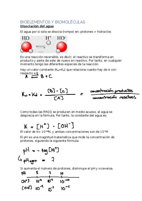 Miniatura del documento 1.docx