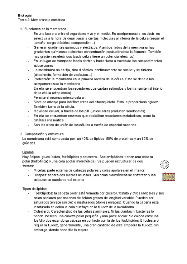 Miniatura del documento Tema-2-Membrana.pdf
