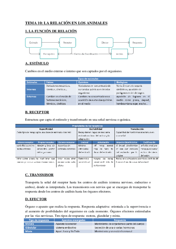 Miniatura del documento TEMA-10-apuntes.docx