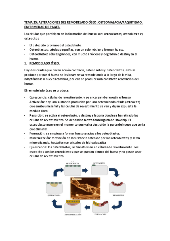 Miniatura del documento TEMA-25.pdf
