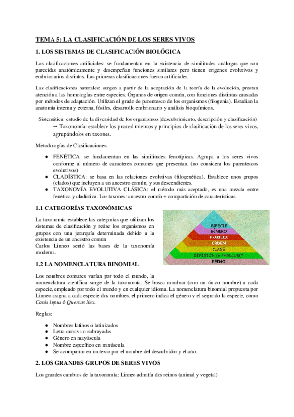 Miniatura del documento clasificacion-de-los-seres-vivos.docx