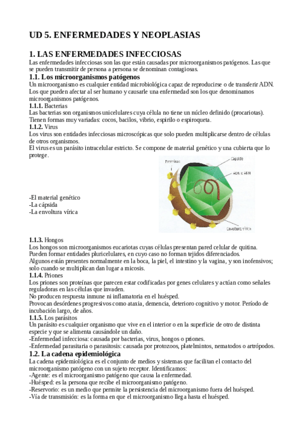 Miniatura del documento TEMA-5-ENFERMEDADES-Y-NEOPLASIAS.pdf