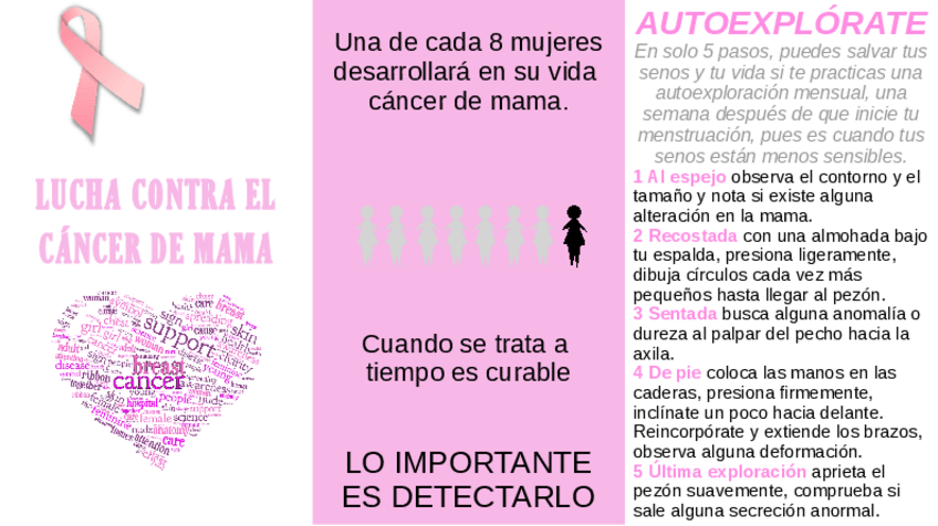 Miniatura del documento TRIPTICO-CANCER-DE-MAMA.pdf