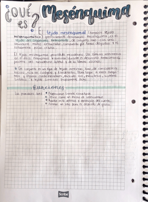 Miniatura del documento Mesenquima.pdf