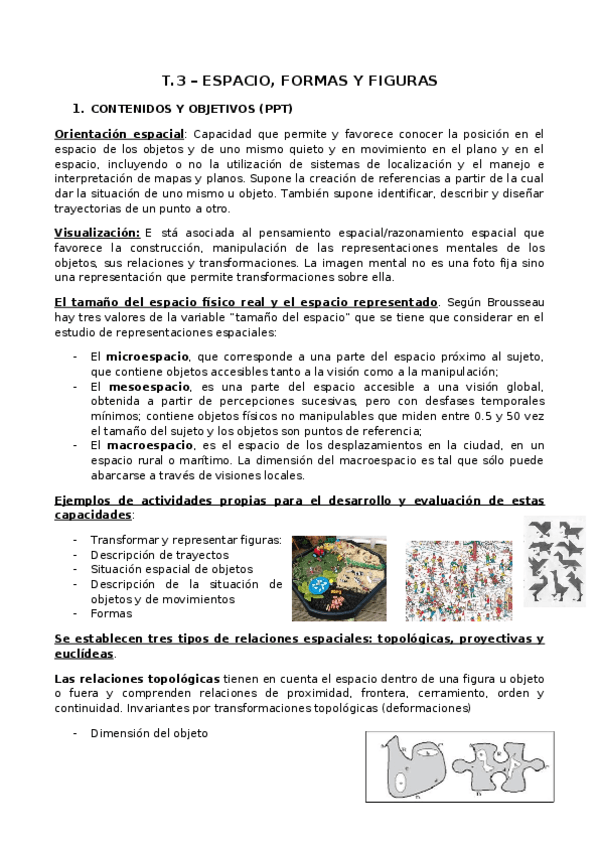 Miniatura del documento T.docx