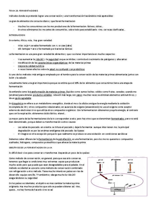 Miniatura del documento TEMA-20.pdf