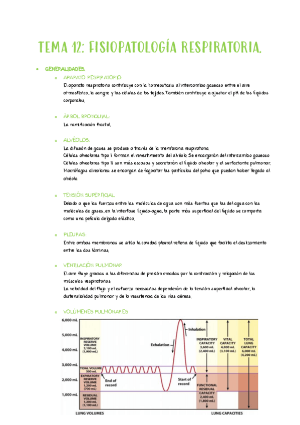 Miniatura del documento TEMA-12.pdf