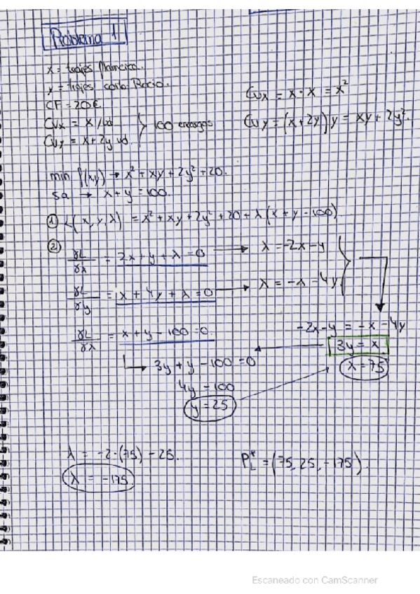 Miniatura del documento PROBLEMAS-PROPUESTOS-T3.pdf