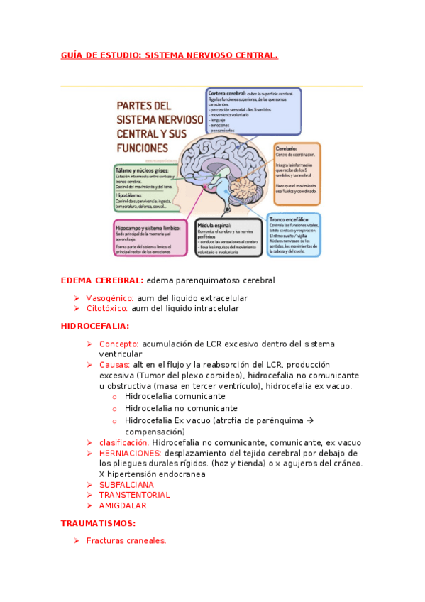 Miniatura del documento 7-SNC.docx