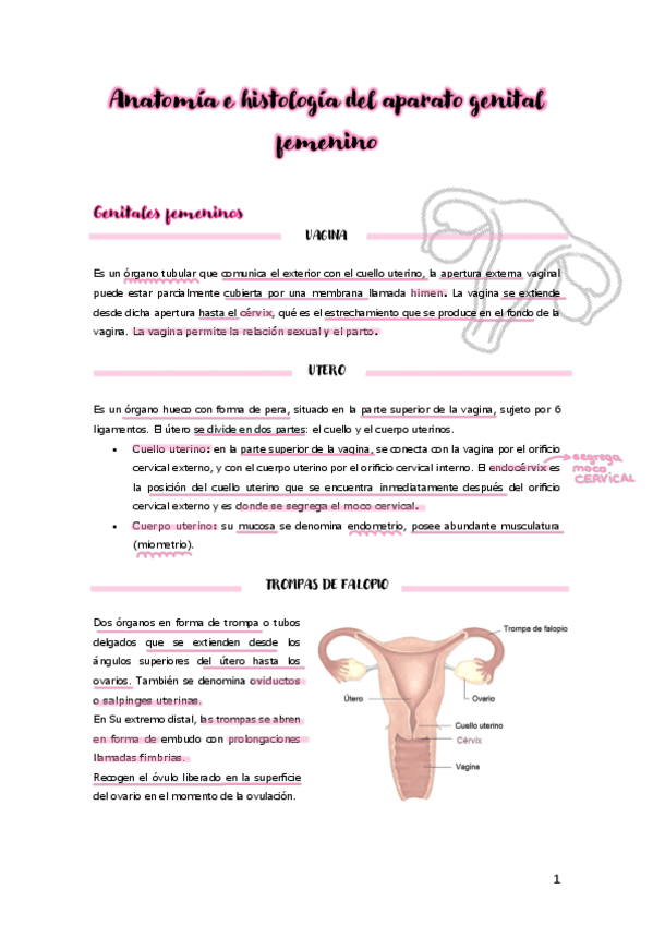 Miniatura del documento UNIDAD-12-Aparato-reproductor.pdf