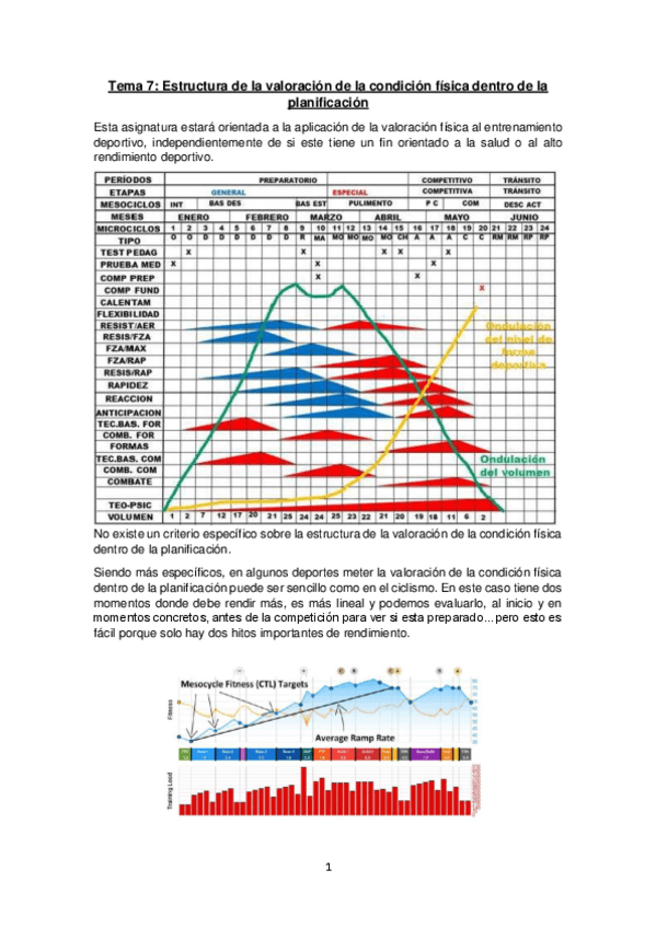 Miniatura del documento Tema-7.pdf