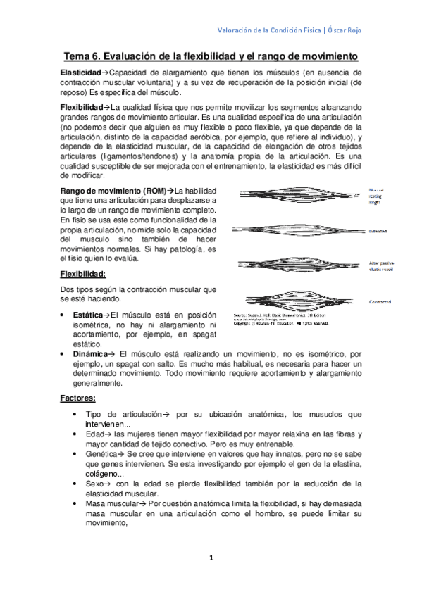 Miniatura del documento Tema-6-2.pdf
