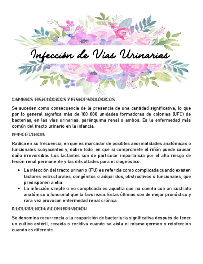 Miniatura del documento IVU.pdf