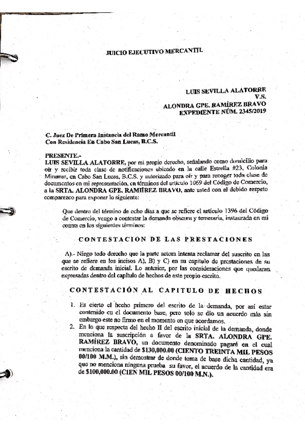 Miniatura del documento juicio-ejecutivo-mercantil.pdf