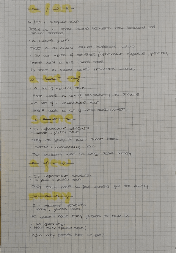 Miniatura del documento A/ an, a lot of, some, a few, many