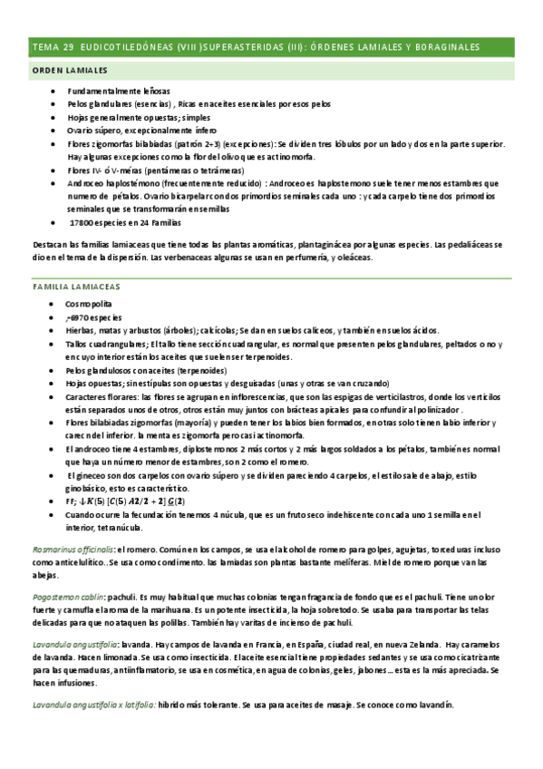 Miniatura del documento Tema-29-botanica.pdf