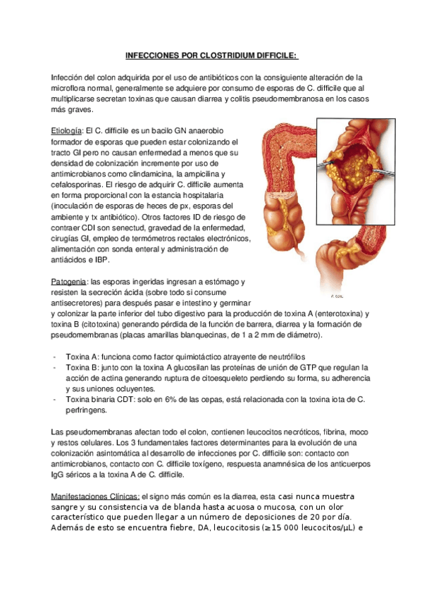 Miniatura del documento INFECCIONES-POR-CLOSTRIDIUM-DIFFICILE.docx