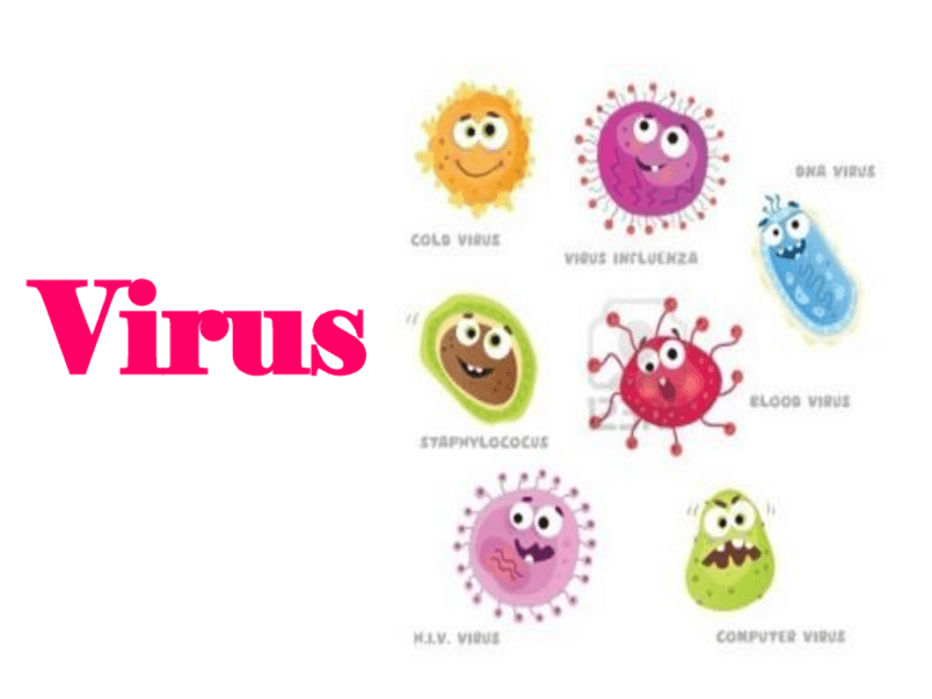 Miniatura del documento Virus.pdf