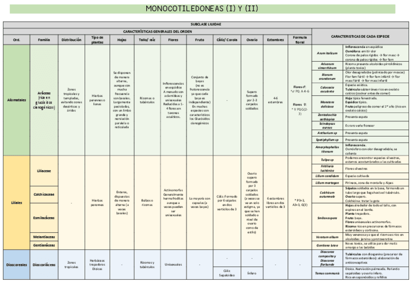 Miniatura del documento MONOCOTILEDONEAS-I-Y-II.pdf