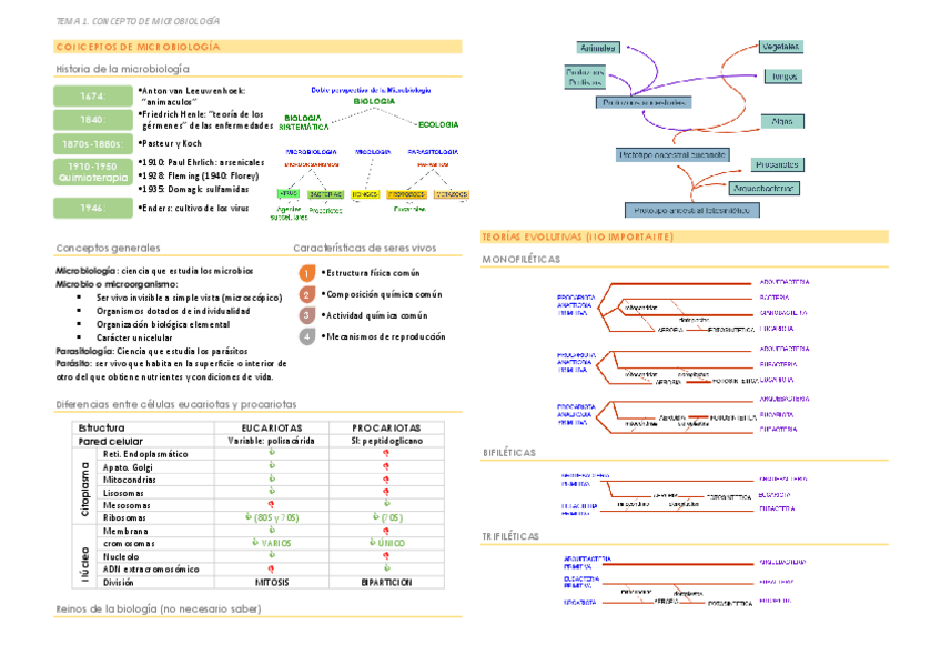 Miniatura del documento TEMAS UNIDOS.pdf