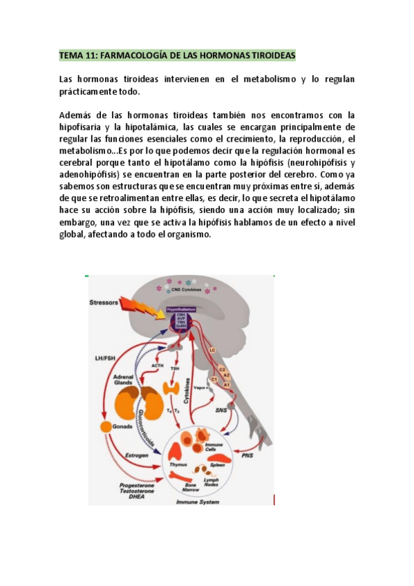 Miniatura del documento FARMA-T11-w.pdf
