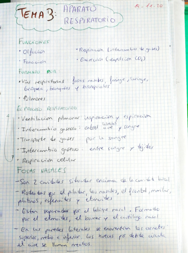 Miniatura del documento Aparato-Respiratorio-.pdf