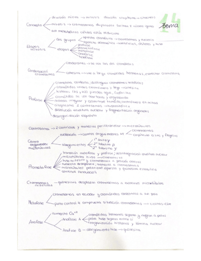 Miniatura del documento Biologia-2.pdf