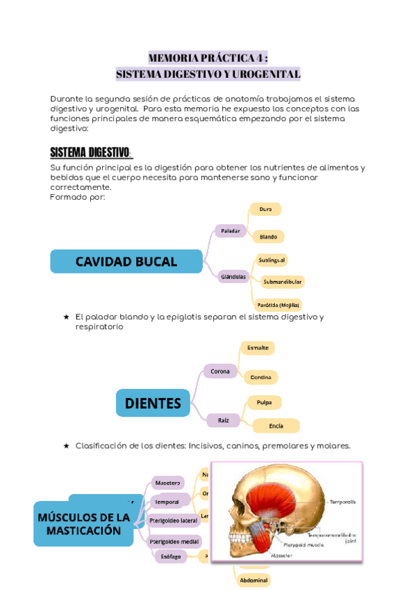 Miniatura del documento MEMORIA-PRACTICA-4-.docx