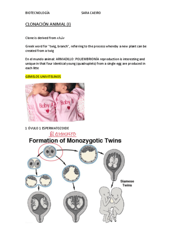 Miniatura del documento CLONACION-ANIMAL-I.pdf