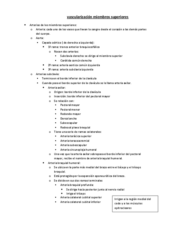 Miniatura del documento vascularizacion-miembros-superiores.pdf
