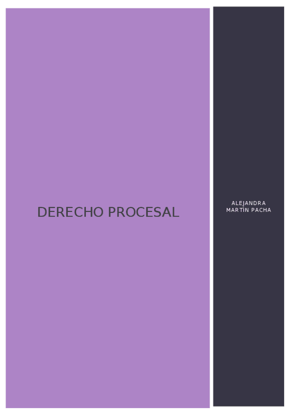 Miniatura del documento DERECHO-PROCESAL-DEFINITIVO.docx
