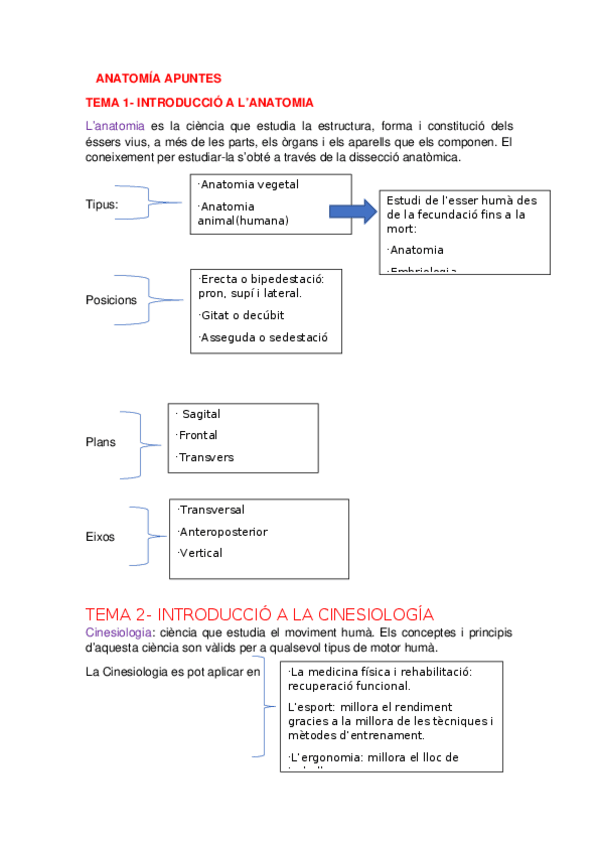 Miniatura del documento ANATOMIA-APUNTES1.docx