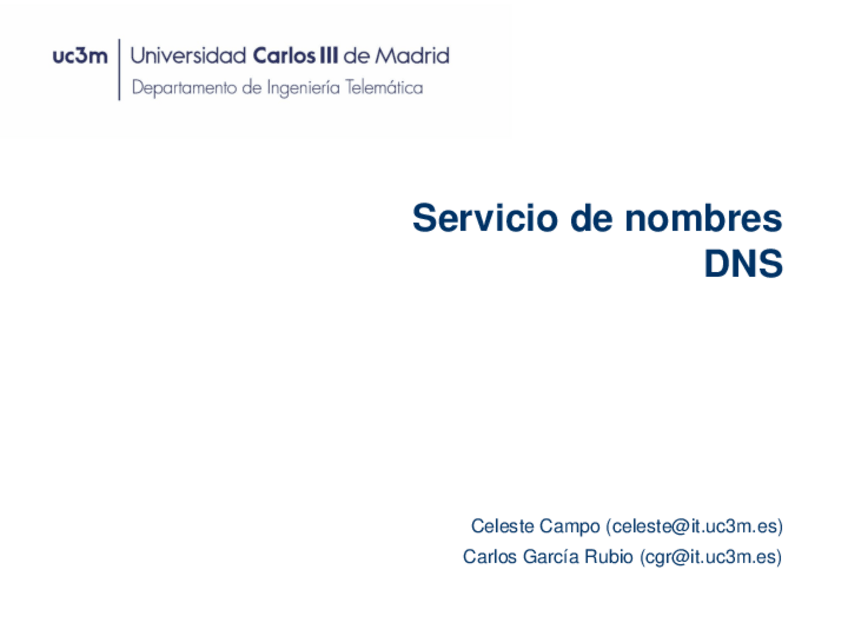 Miniatura del documento T4DNS.pdf