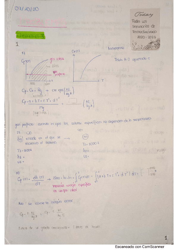 Miniatura del documento SEMINARIOS-TERMODINAMICA-2021.pdf