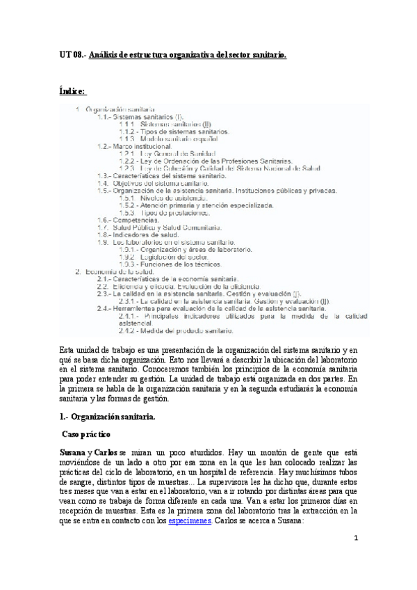Miniatura del documento UT-8-SISTEMA-SANITARIO.pdf