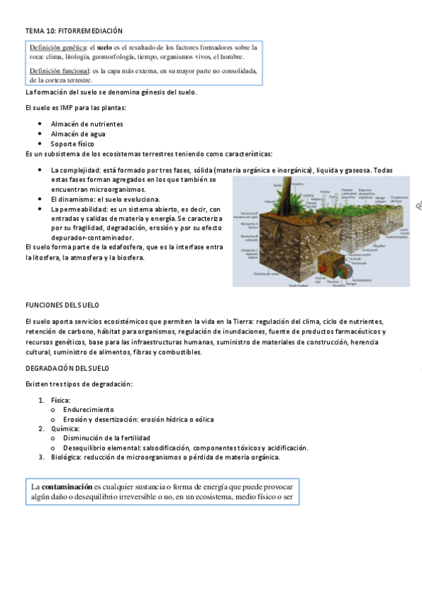 Miniatura del documento TEMA-10.pdf